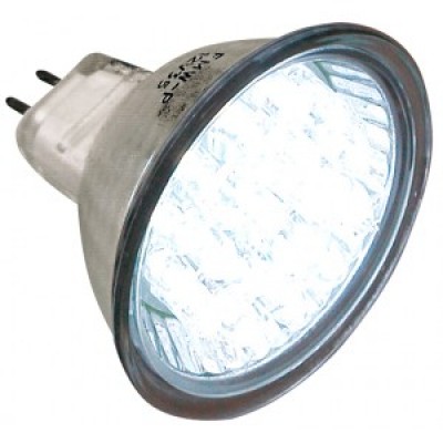 LEDS Lamp 12v 1.8W with 20 LEDS
